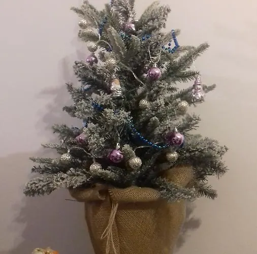 Karmazynowy Nad Morzem